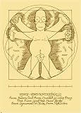 Posters: Simpsons - Da Vinci Art Print (80 x 60 cm)