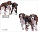   - Boxer Dog 2009 Deluxe Calendar by THE DOG Artlist Collection