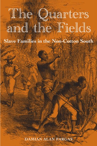 The Quarters and the Fields: Slave Families in the Non-Cotton South (New Perspectives on the History of the South)