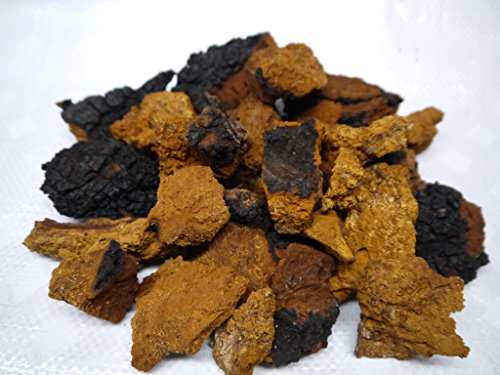 Whole Chaga Mushrooms (1lb) Whole Chaga Mushrooms (1lb)