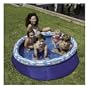 Spring Pool - 60" by Swimways