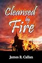 Cleansed by Fire (Father Frank Mysteries)