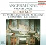 Famous European Organs: Angerm�nde (Wagner Organ) - Dieter Gl�s