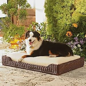 Outdoor Pet Bed with Cushion - Black Walnut, Large - Frontgate Dog Bed