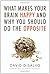 What Makes Your Brain Happy and Why You Should Do the Opposite