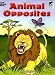 Animal Opposites (Dover Coloring Books) by Cathy Beylon, Coloring Books