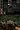 Dead 'n' Furious (Nintendo DS)