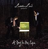 A Day in the Life [VINYL]