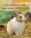 Les meilleurs soins pour votre lapin nain