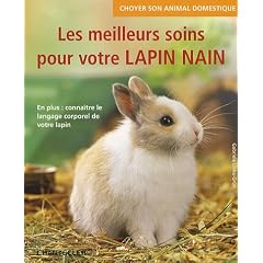 Les meilleurs soins pour votre lapin nain