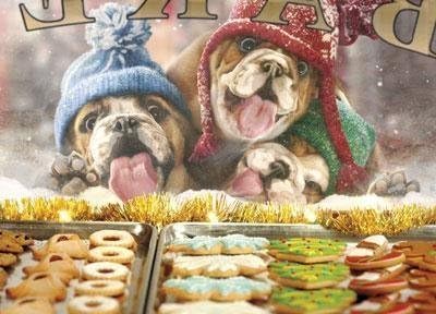 FUNNY BULLDOG BAKERY WINDOW SINGLE CHRISTMAS CARD by AVANTI by Avanti Press