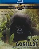 The Last Gorillas (Blu-ray)
