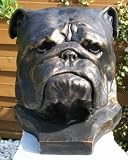 Eigenschaften   / großer Kopf einer Bulldogge Büste Hundekopf Dekoration