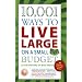 10,001 Ways to Live Large on a Small Budget