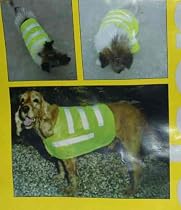 XXL Pet Vest. Hi Visibility For Large Dogs.