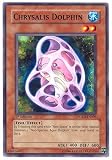 2006 Power of the Duelist 1st Edition POTD6 Chryalis Dolphin / Single YuGiOh! Card in Protective Sleeve