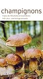 Champignons : Les reconna�tre facilement sans se tromper