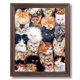 Cat Kittens Kitty Collage Kids Room Wall Picture Cherry Framed Art Print