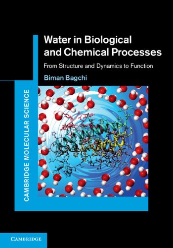 Water in Biological and Chemical Processes (Cambridge Molecular Science)