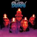 Burn [Vinilo]