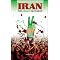 Recent Events in Iran