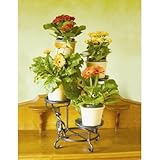 IMAGE OF Achla Designs FC-05 Cascading Plant Stand