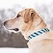 Kurgo Waterproof Muck Collar & Leash for Dogs | Matching Collar & Leash for Pets | Prepster Stripe Atlantic Blue | Medium