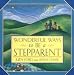 Wonderful Ways to be a Stepparent