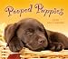 Pooped Puppies 2012 Box/Daily (calendar)