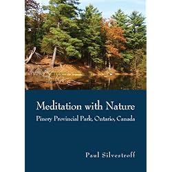 Meditation with Nature: Pinery Provincial Park, Ontario, Canada