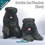 Bouvier des Flandres (Euro) 2010 Wall Calendar #10020-10