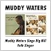 Muddy Waters Sings Big Bill/Folk Singer