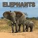 Elephants 2009 Wall Calendar 12 X 12