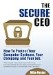 The secure CEO : How to Protect Your Computer Systems, Your Company, and Your Job.
