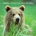 Wildlife of the Canadian Rockies