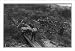 Historic Print (L): Wood chopper's station with fuel for steamers on the Upper Yukon