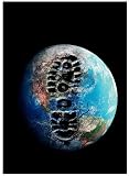 Produkt-Bild: The 11th Hour Plakat Movie Poster (11 x 17 Inches - 28cm x 44cm) (2007) B