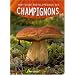 Mini-guide encyclop�dique des champignons