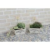 nobrand アンティーク調木製プランターカバー２個組（ピック付） 園芸用品 (TPG710)