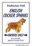 image link - - B001BBS2DO