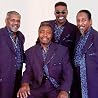 Image of The Trammps