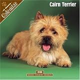 Cairn Terrier 2008 Wall Calendar