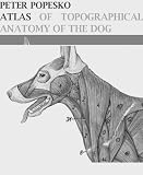 ATLAS OF TOPOGRAPHICAL ANATOMY OF THE DOG
