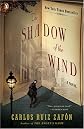 The Shadow of the Wind