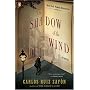 The Shadow of the Wind by Carlos Ruiz Zaf�n