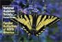 National Audubon Society Pocket Guide to Familiar Butterflies Of North America (National Audubon Society Pocket Guides)