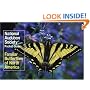National Audubon Society Pocket Guide to Familiar Butterflies Of North America