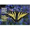 National Audubon Society Pocket Guide to Familiar Butterflies Of North America (National Audubon Society Pocket Guides)
