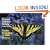 National Audubon Society Pocket Guide to Familiar Butterflies Of North America
