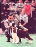English Springer Spaniel Champions, 1987-2007